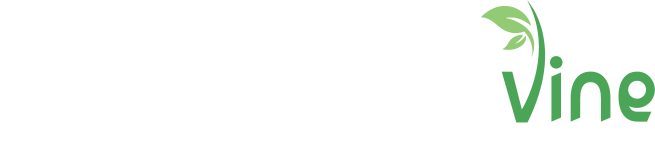 Website Design & Hosting by The Graphic Vine